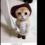 Profile Picture of Everett Iverson (@mrhockeyboi69) on Instagram