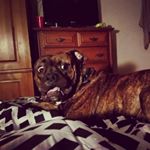 Profile Picture of Chuck Wheeler (@speedpunkdesigns) on Instagram