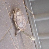 Profile Picture of Shaun Fogarty (@shaun-fogarty-1) on Quora