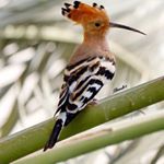 Profile Picture of أحمد المنصوري Ahmed Almansoori (@_ahmed77) on Instagram