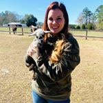 Profile Picture of Pamela Cobb (@pamelajc815) on Instagram