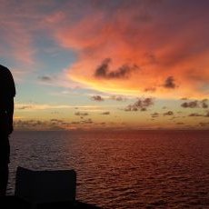 Profile Picture of James Mich (@Mich_Karin) on Twitter