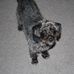Profile Picture of Malcolm Belcher (@Malcolm-Belcher) on Facebook