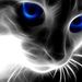 Profile Picture of Arsim Rakipi (@arsimrakipi) on Pinterest