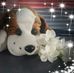 Profile Picture of Kelly Mok (@kelly.mok.37) on Facebook