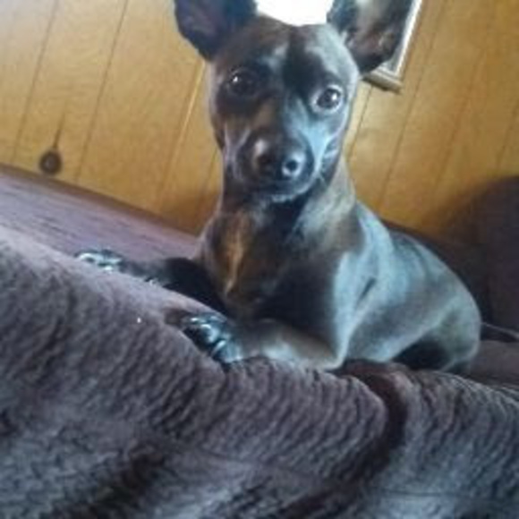 Profile Picture of Jesse Donegan (@jessedonegan4) on Poshmark