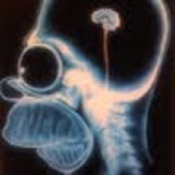 Jason Parappilly - Poshmark Profile Picture of Jason Parappilly (@parappilly) on Poshmark