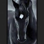 Amy Colette - Instagram Profile Picture of Amy Colette (@amy_osull) on Instagram