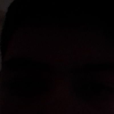 Profile Picture of Brian Andrew Pitter Verdugo (@PitterVerdugo) on Twitter