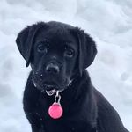 Profile Picture of Mark Widmann (@mark.widmann.12) on Instagram