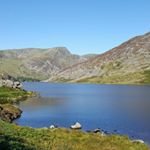 Profile Picture of Peter Lapin (@peterlapin001) on Instagram