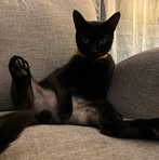 Profile Picture of Dawn Kloos (@dawn.kloos.612692) on Facebook