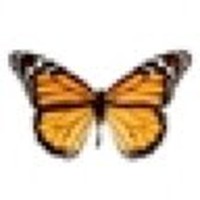 Profile Picture of Hugh Dougherty (@hugh-dougherty-3) on Quora