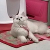Profile Picture of Sheryl Martin (@@sherryl119) on Tiktok