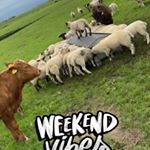 Profile Picture of Michaelcrilly12 (@michaelcrilly34) on Instagram