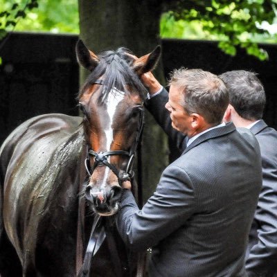 Profile Picture of Briantaylor (@brianta96236023) on Twitter