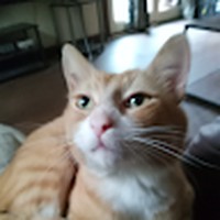 Profile Picture of Jeremy Mcalister (@jeremy-mcalister-8) on Quora