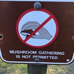 Profile Picture of Coby Anderson (@slappy_mcpizza) on Instagram