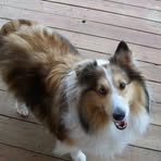 Profile Picture of Janet Wisinski (@janet.wisinski) on Facebook