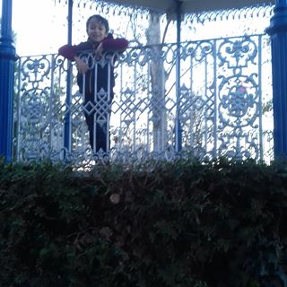 Nuno Cerol - Facebook Profile Picture of Nuno Cerol (@nuno.cerol) on Facebook