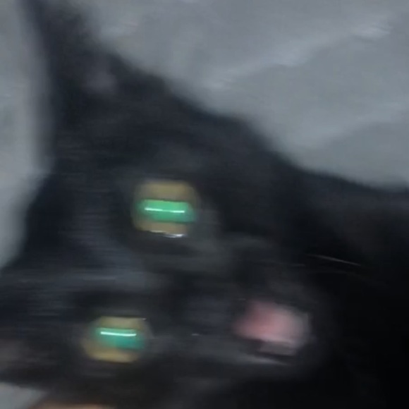 Profile Picture of Lucia Roman (@luciaroman282) on Poshmark