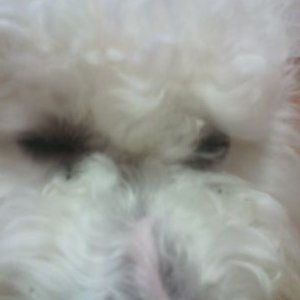 Profile Picture of Kyle Atchison (@kyleatchison4) on Twitter