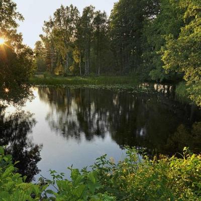 Profile Picture of Leonard Andersson (@1Traditionalist) on Twitter