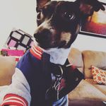 Profile Picture of Cooper Jamal Lambert (@cooperthetrooper_jr) on Instagram