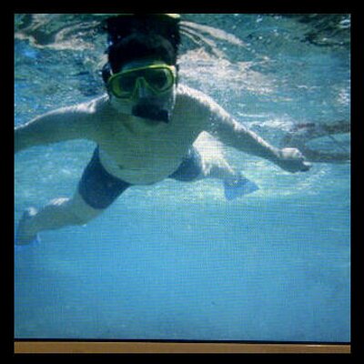 Profile Picture of Steven Zea (@ZeaSteven24) on Twitter