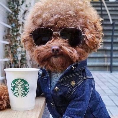 Profile Picture of Jonathan Landeros (@Jhonlanders) on Twitter
