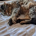 Profile Picture of Geneva Blevins Messex (@gblevinsmessex) on Facebook