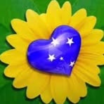 Profile Picture of Rosemeire Kimura (@rosemeire.kimura.5) on Facebook