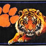 Profile Picture of Gregory Shawn Kayton (@skol3442) on Instagram