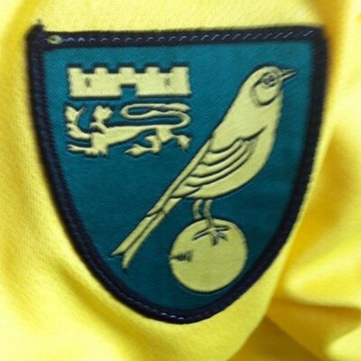 Profile Picture of Mark P (@DublinUpCanary) on Twitter