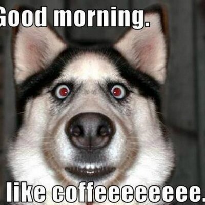 Matthew Dingle - Twitter Profile Picture of Matthew Dingle (@matthewdingle1) on Twitter