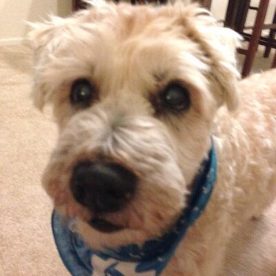 Profile Picture of A Freudenthal (@afreuden) on Twitter