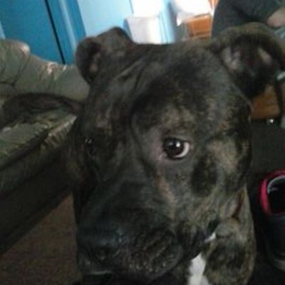 Profile Picture of Chad Thorne (@ThorneChad) on Twitter