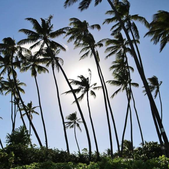 Victoria Booras - Poshmark Profile Picture of Victoria Booras (@victoriabooras) on Poshmark