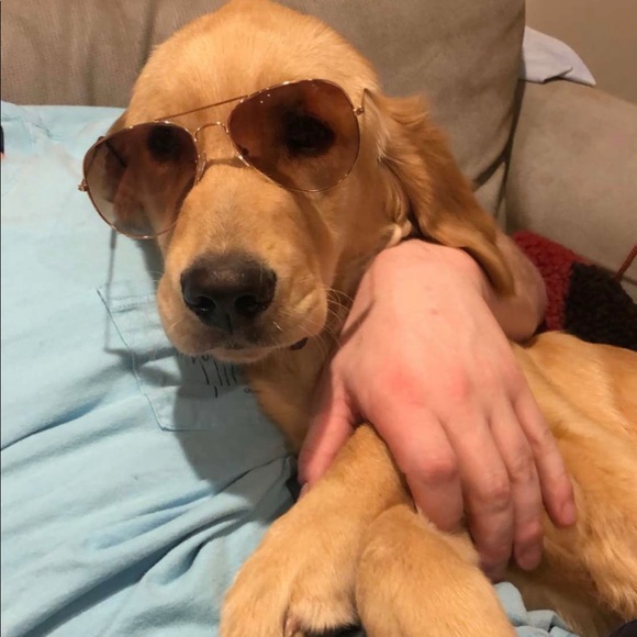Profile Picture of Trevor Edwards (@trevor5edwards) on Poshmark