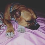 Profile Picture of Christine Crain (@christneann) on Instagram