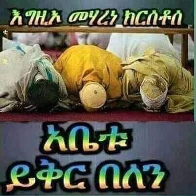 Profile Picture of Genet Tesfay (@genetTesfay15) on Twitter