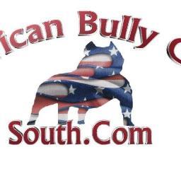 Profile Picture of Roger Calvert (@BullyCampSouth) on Twitter