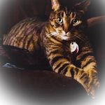 Profile Picture of lynette r trudeau (@emt105725) on Instagram