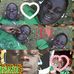 Profile Picture of Issah Best (@issah.best) on Facebook