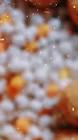 Profile Picture of   Happy makar sankranti (@rakesh_chavan7590) on Tiktok