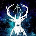 Profile Picture of Andree Chavez (@jerry.chavez.71066) on Instagram