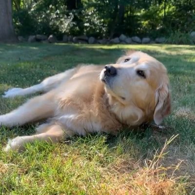 Profile Picture of Mike Avena (@MikeAvena1) on Twitter