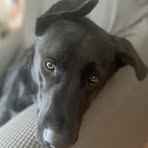 Nicholas Farrell - Facebook Profile Picture of Nicholas Farrell (@Nicholas-Farrell) on Facebook