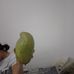 Profile Picture of Nicolas Cota (@Nicolas-Cota) on Facebook