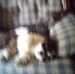 Profile Picture of Marie Seal (@marie.seal.503) on Facebook